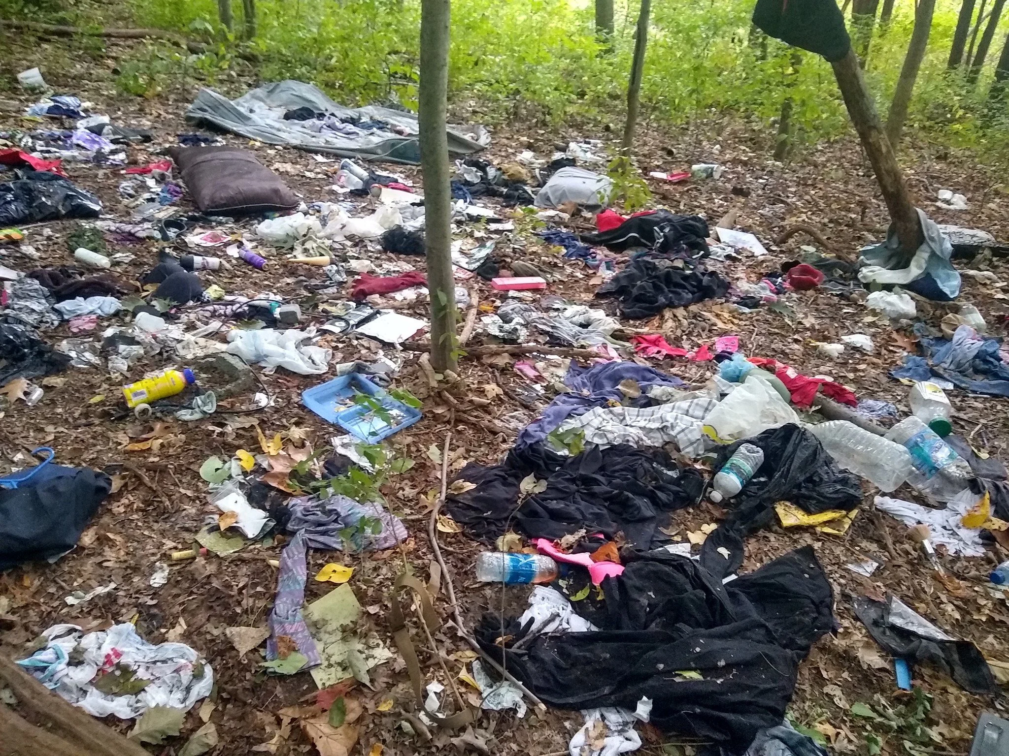 Cleaner, Greener GR — West Grand Neighborhood Organization